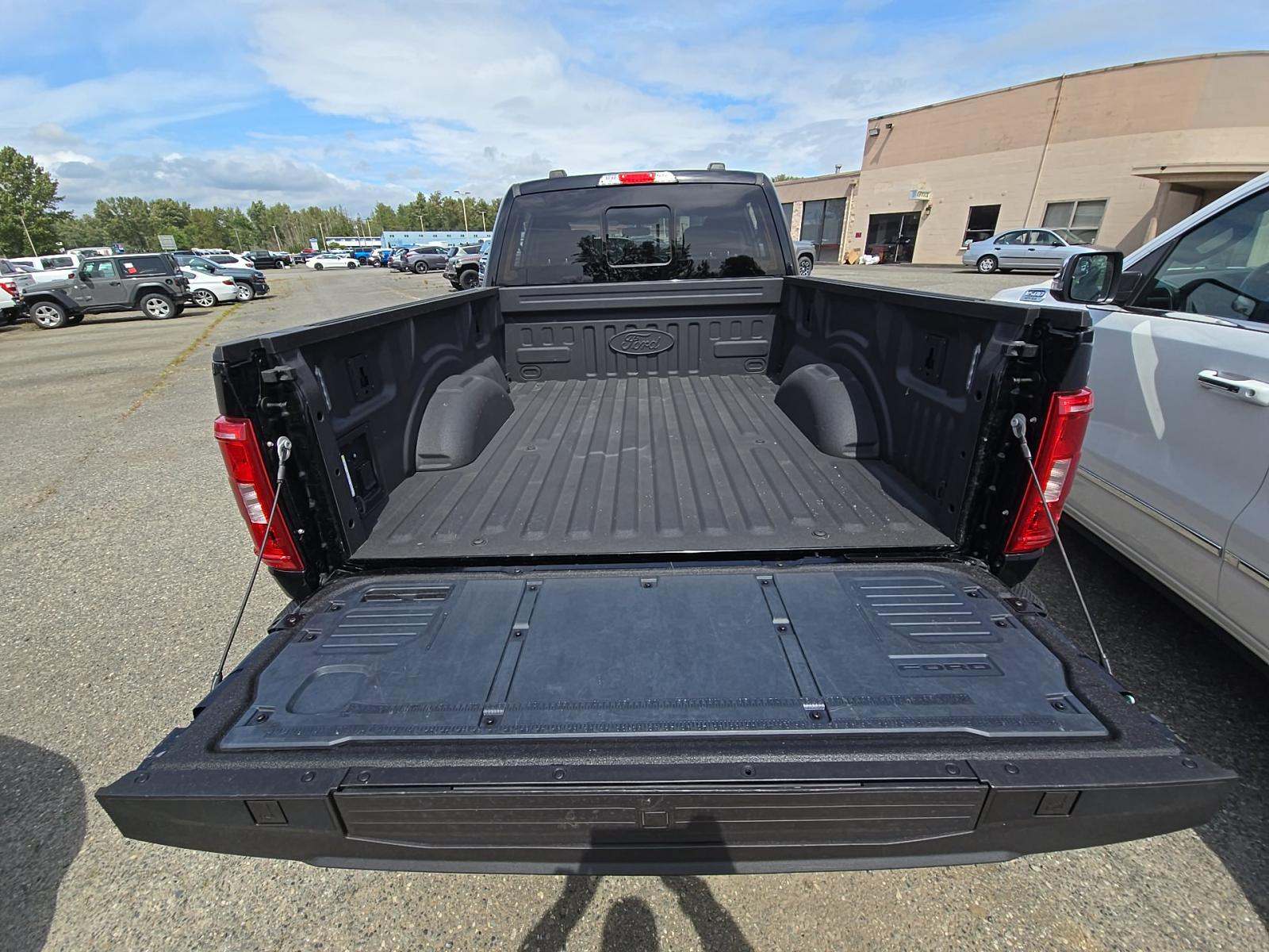 FORD F-150 - 10