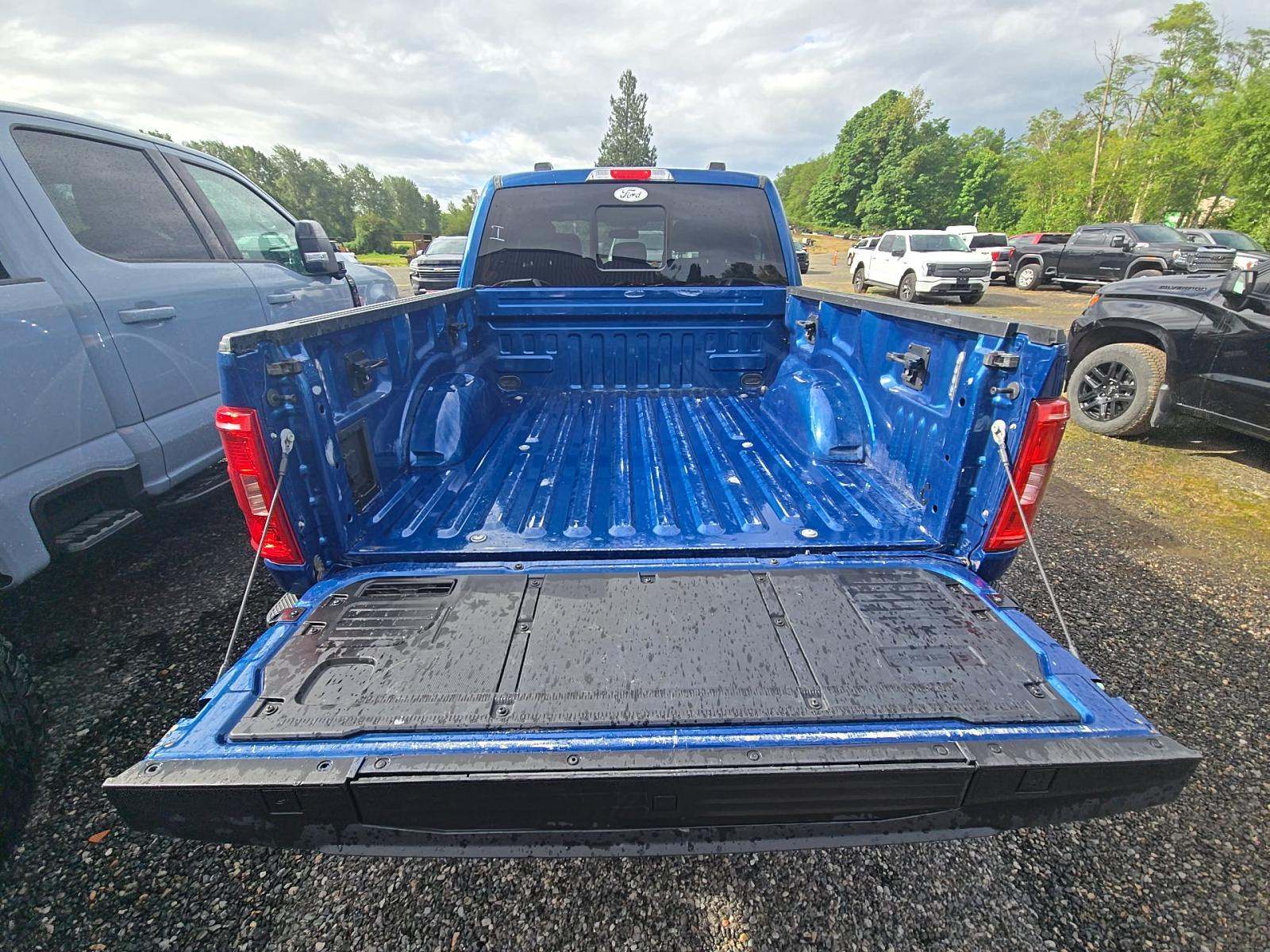 FORD F-150 - 10