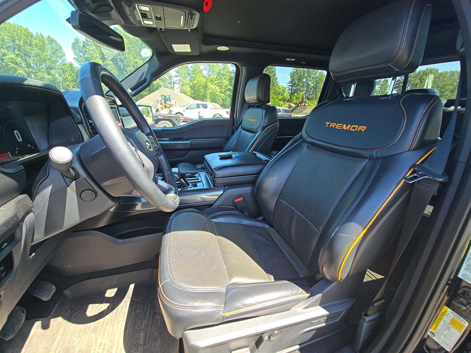 FORD F-150 - 2