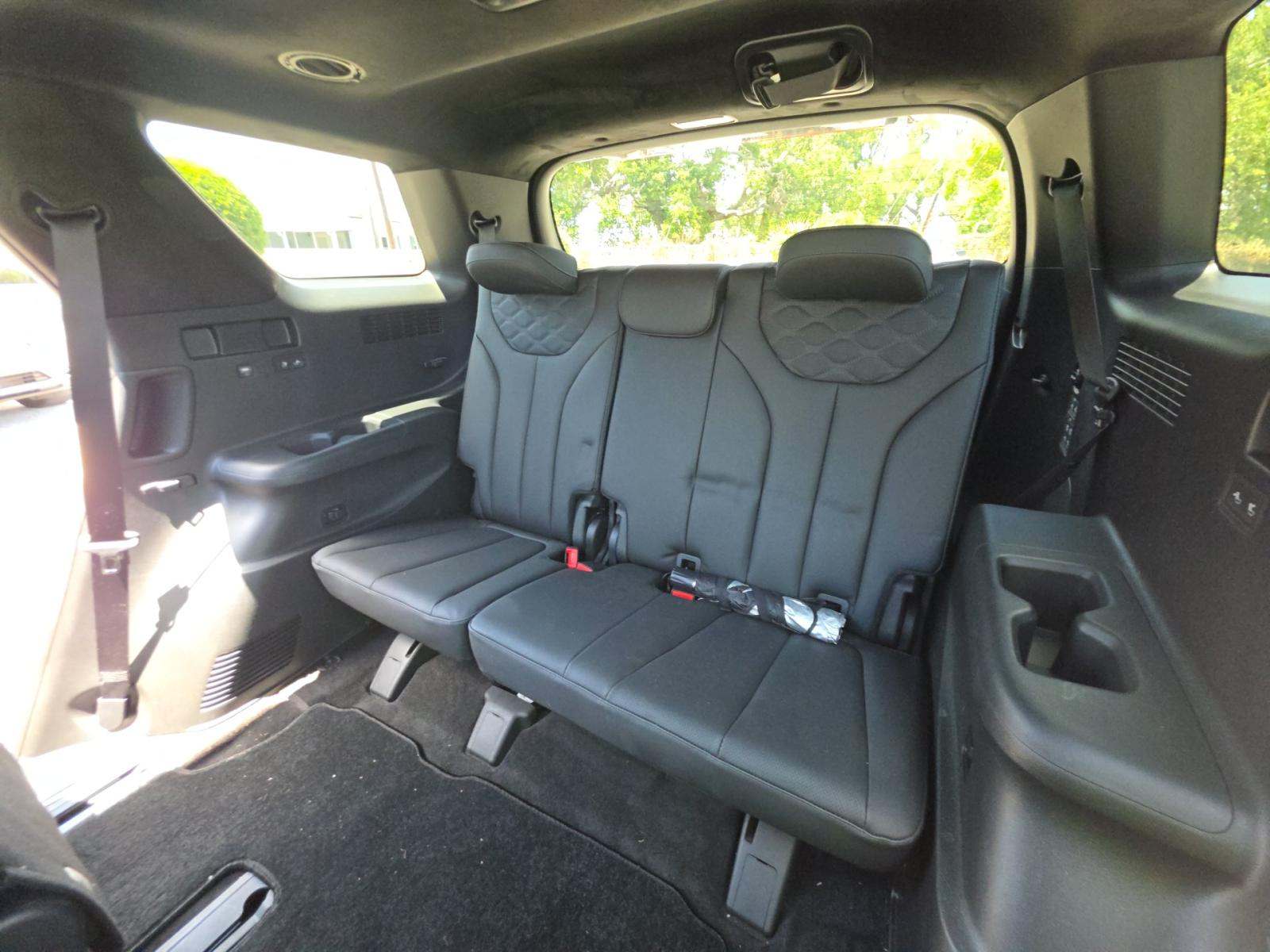 HYUNDAI PALISADE - 10