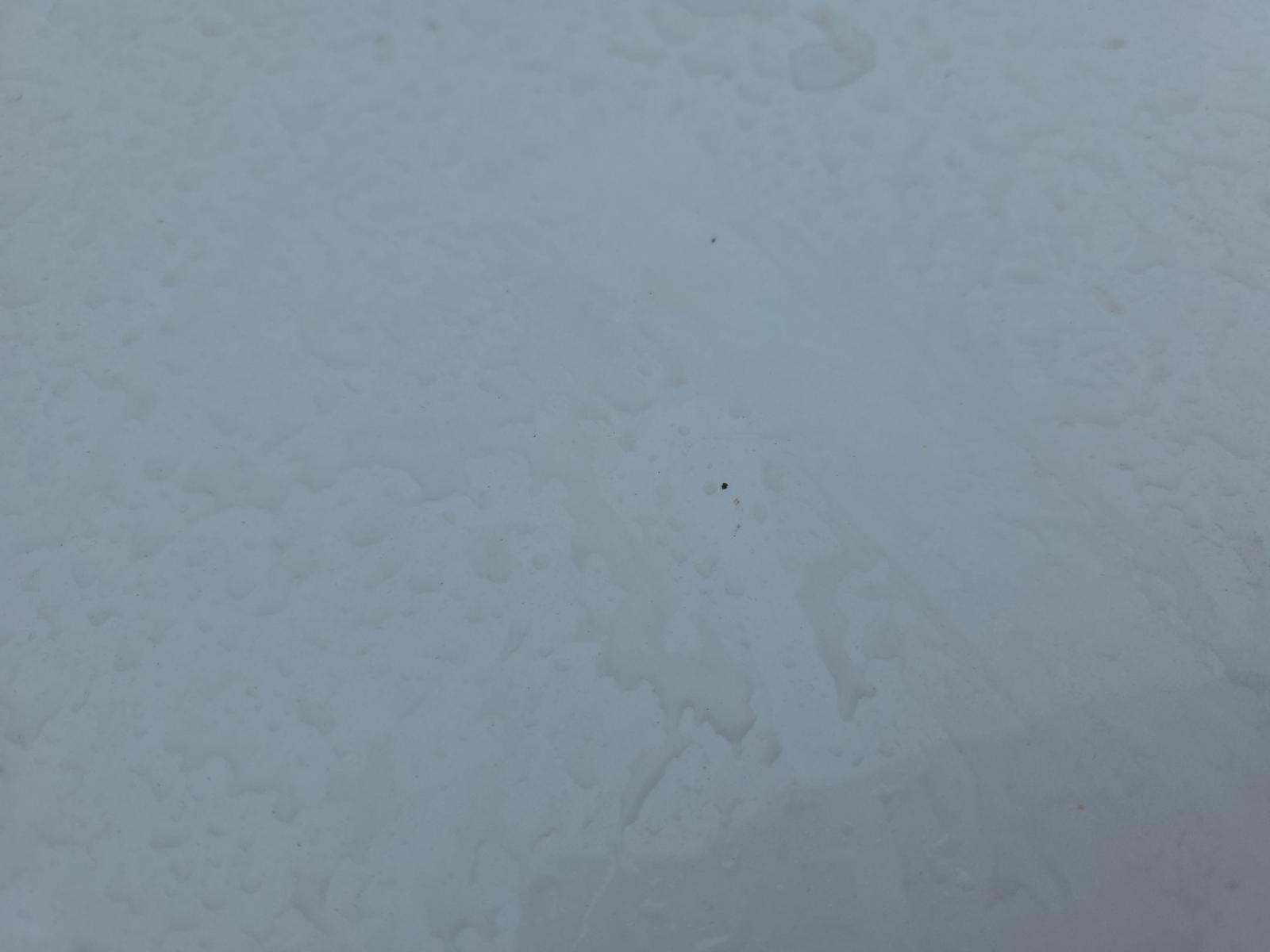 2024 Toyota Corolla LE FWD