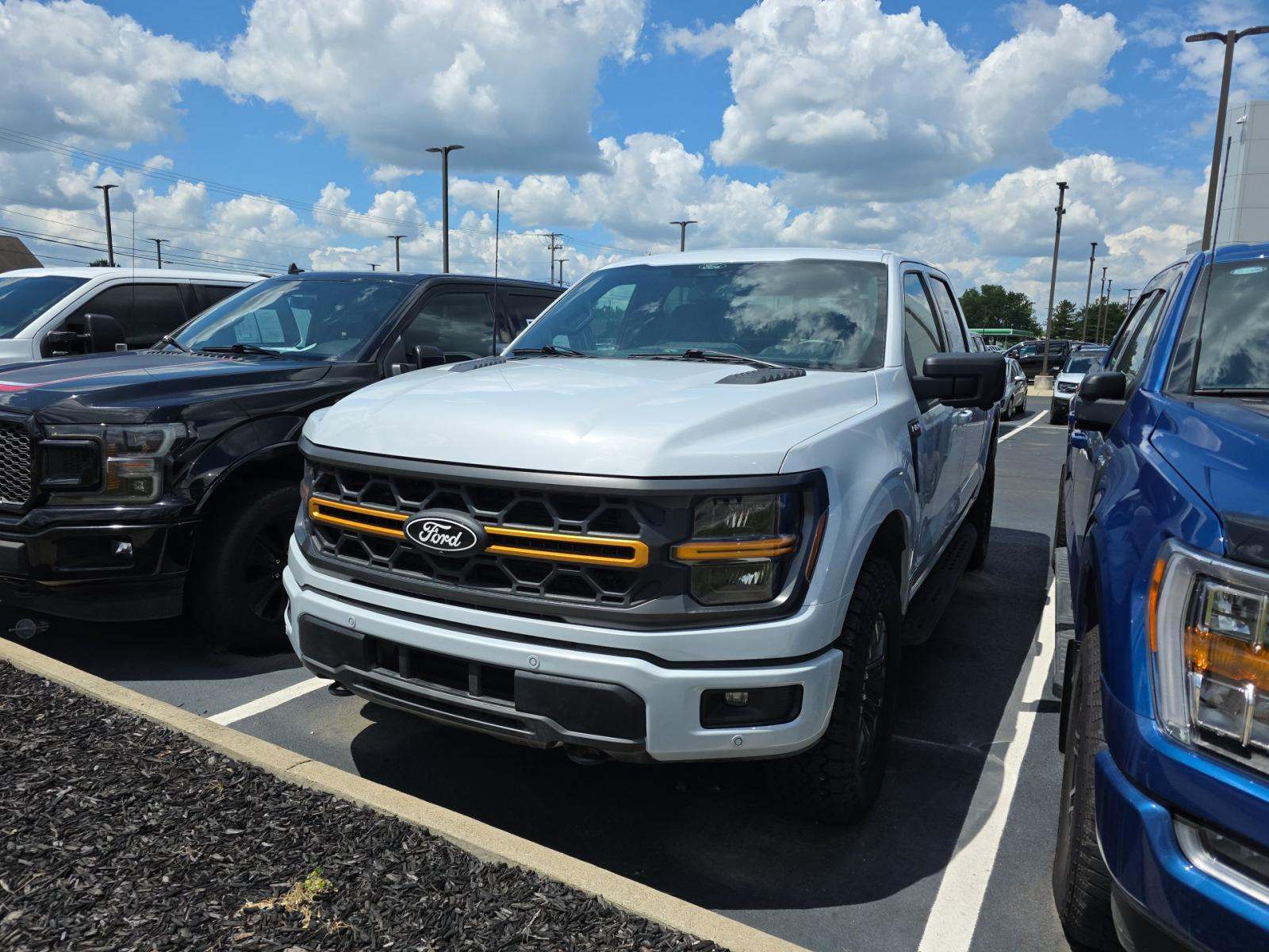 2025 Ford F-150 Tremor AWD