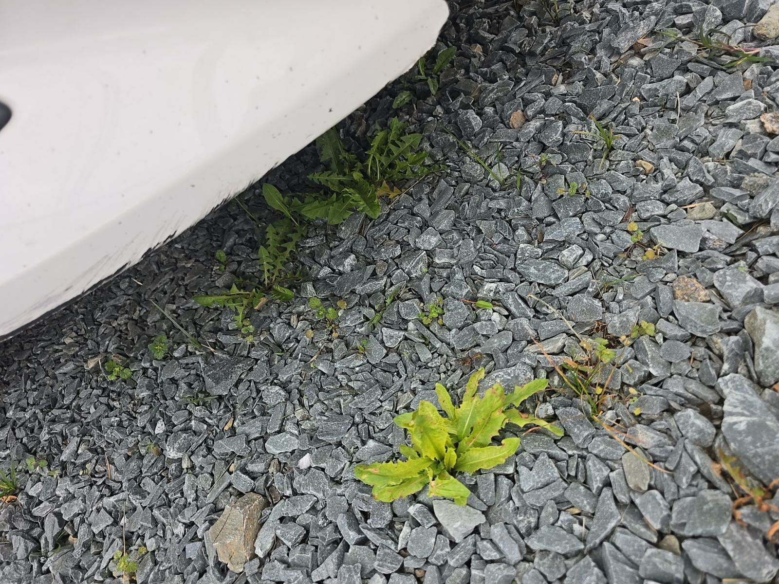 2018 Toyota Corolla LE FWD