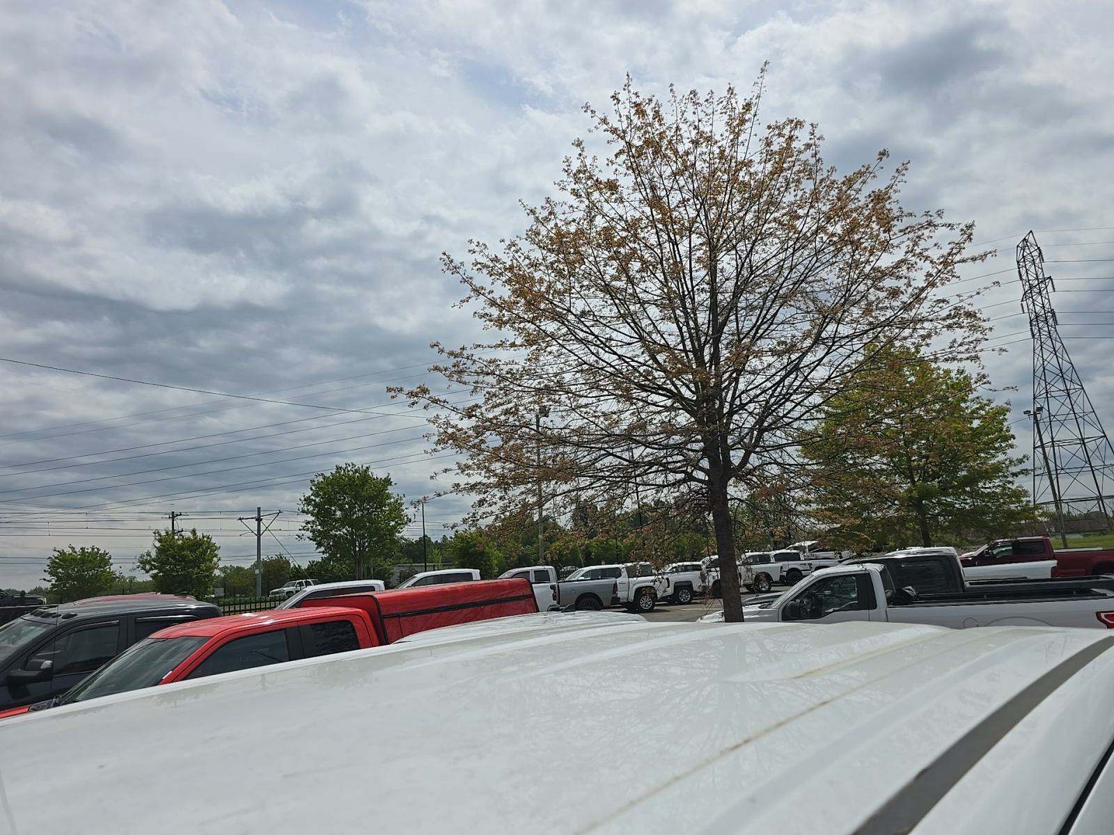 2020 Chevrolet Silverado 2500HD Work Truck RWD