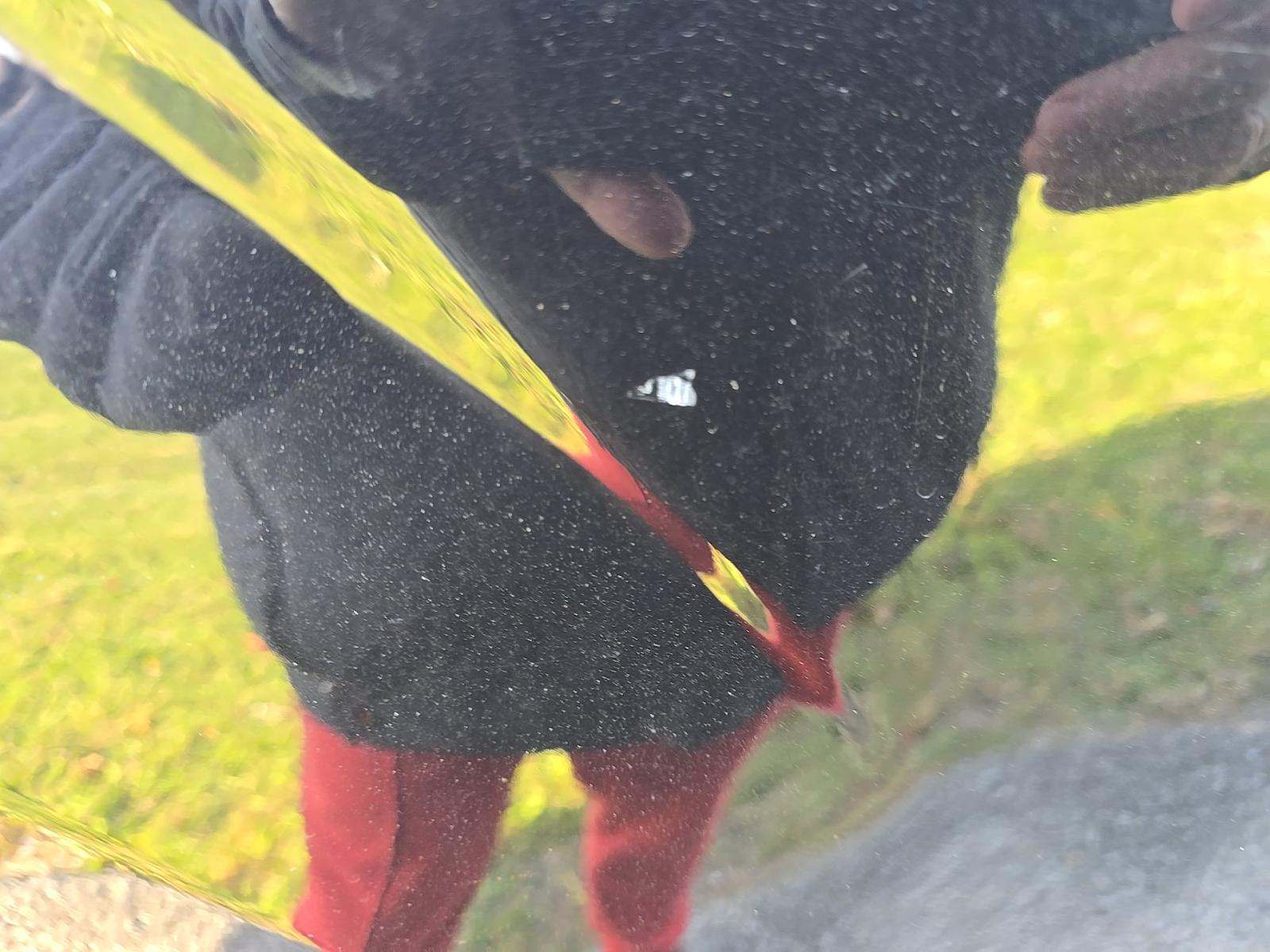 2019 Ford F-150 XLT AWD