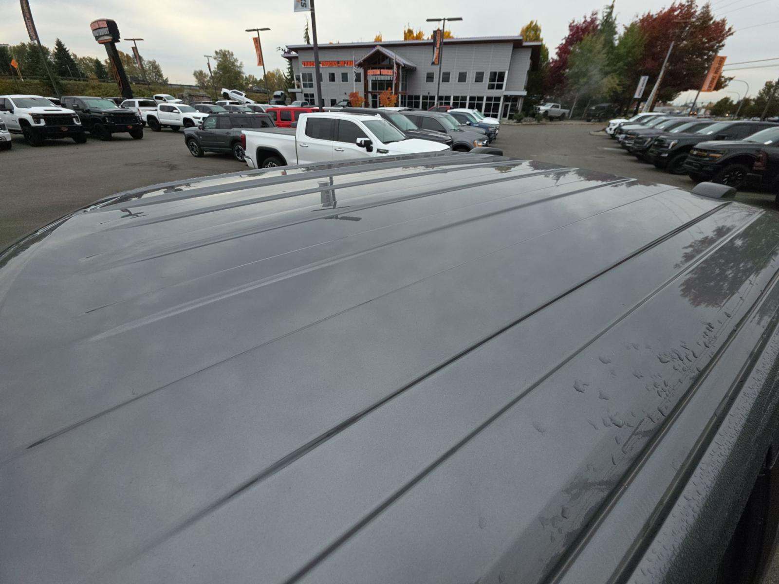 2024 Ford F-150 XLT AWD