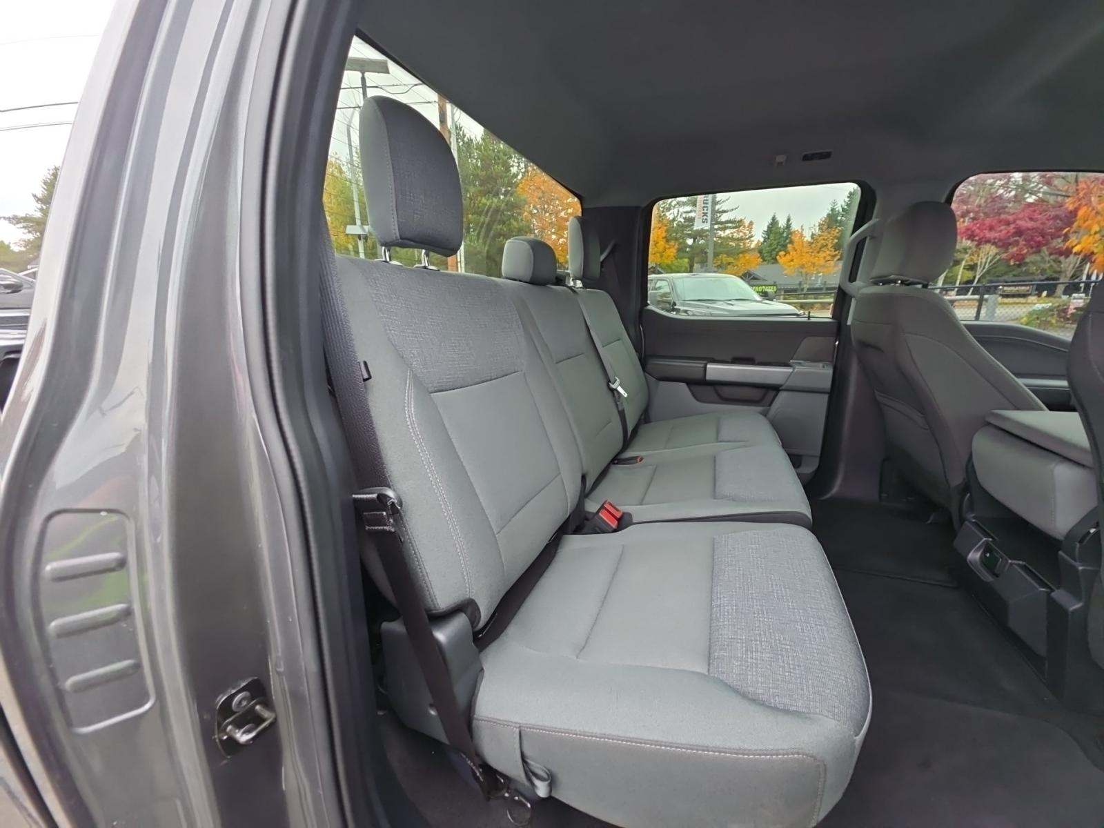 2024 Ford F-150 XLT AWD