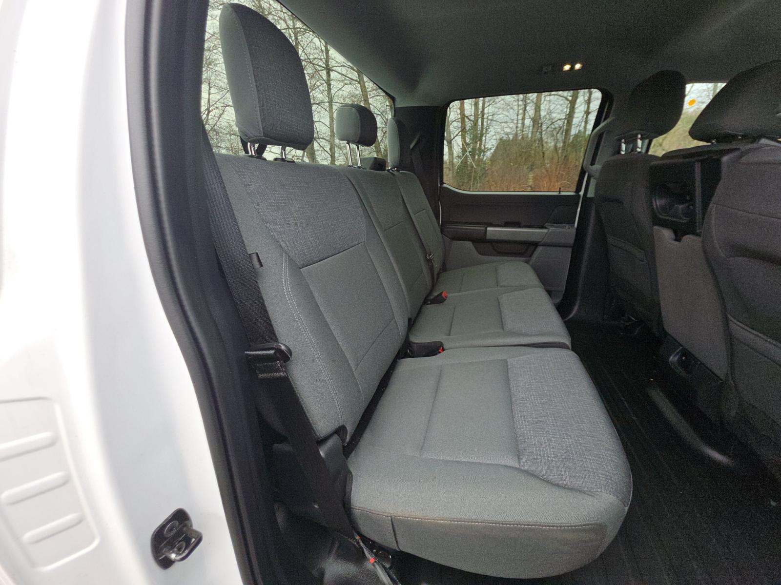 2024 Ford F-150 XLT AWD