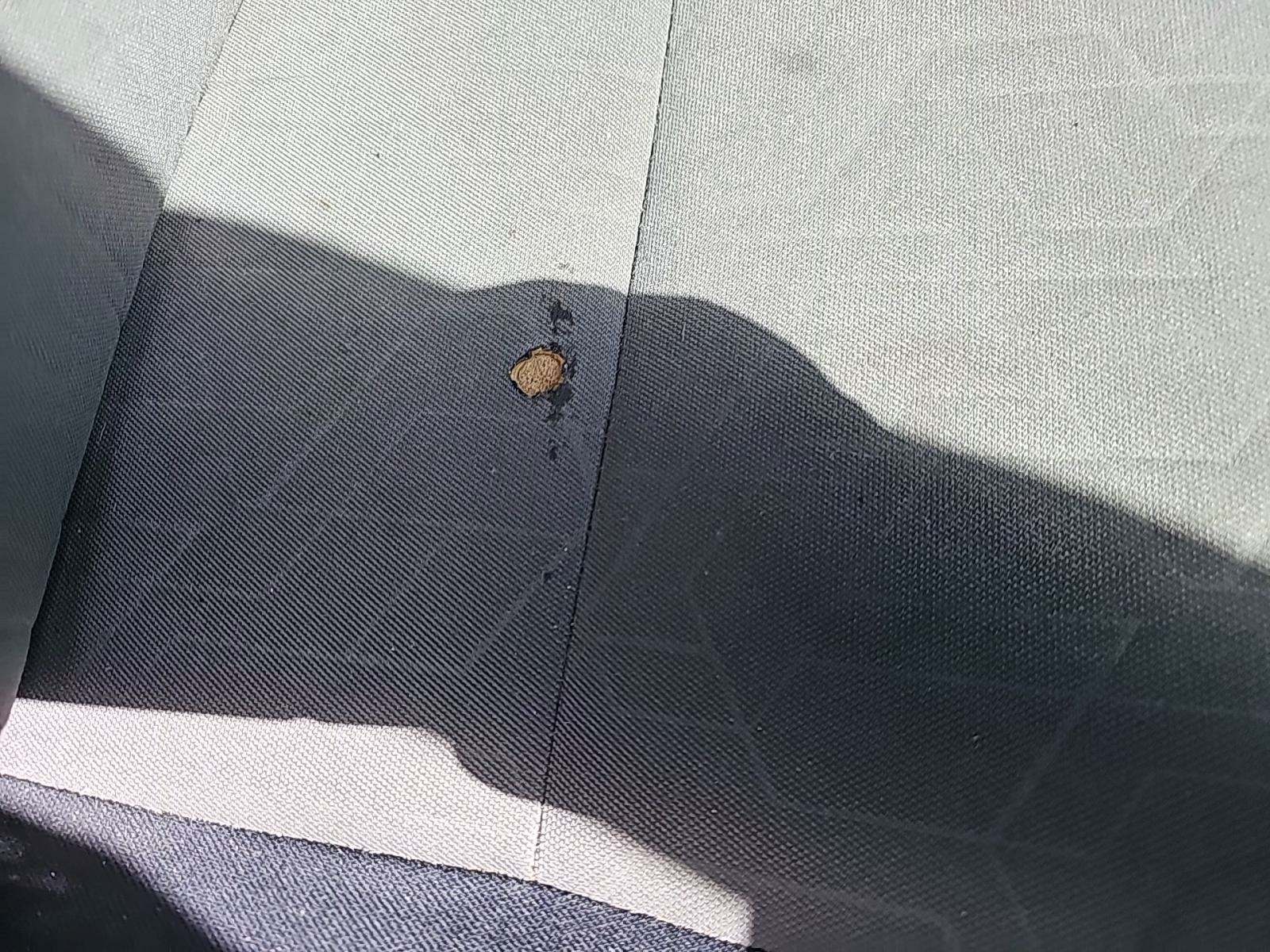 2022 Toyota Tacoma TRD Sport RWD