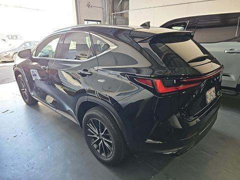 2024 Lexus NX NX 350 AWD
