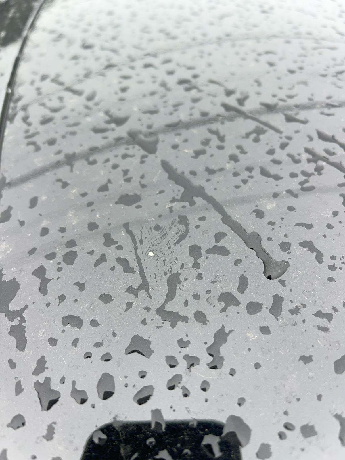 2019 Mercedes-Benz CLS-Class AMG CLS 53 S AWD