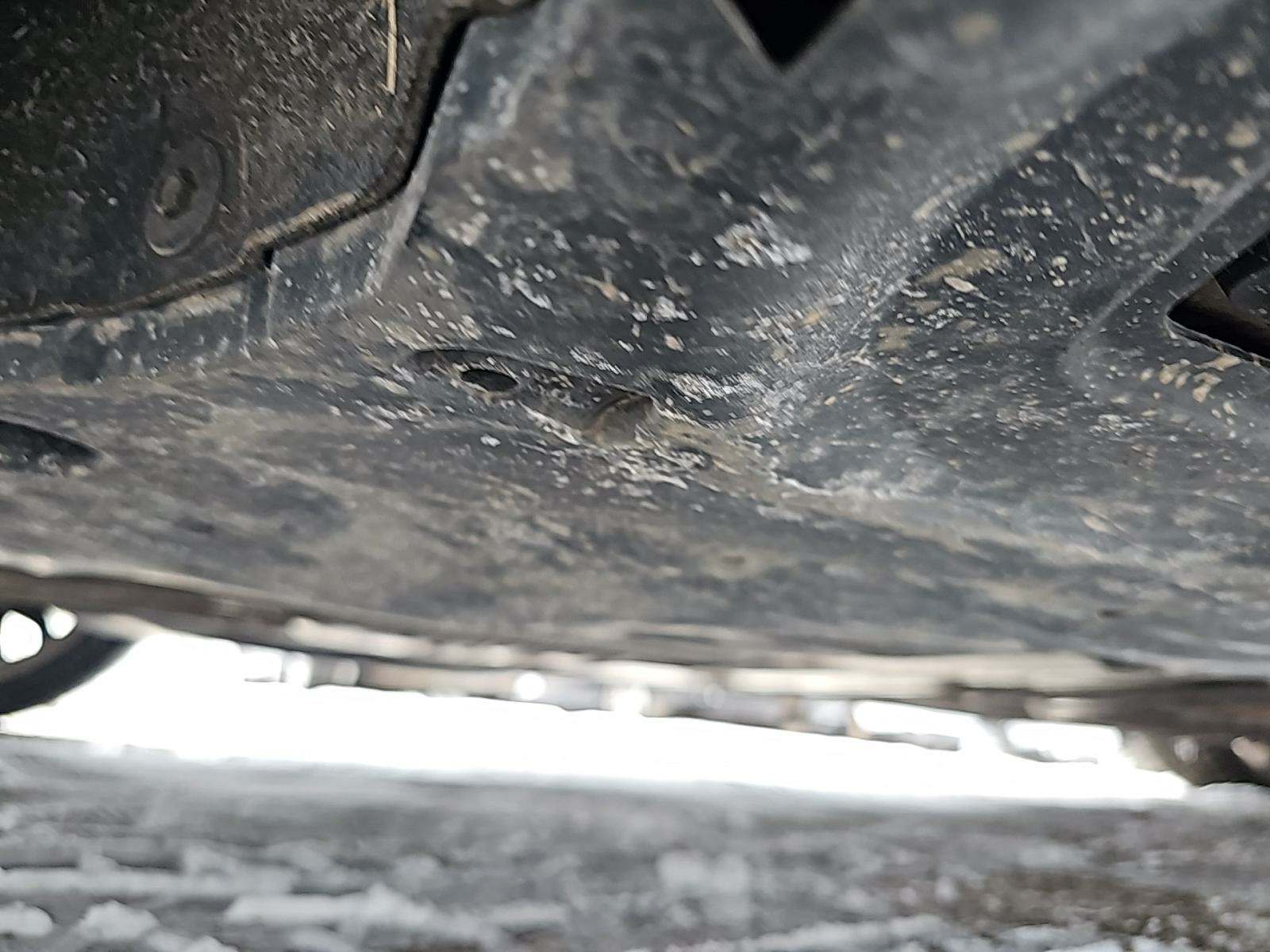 2019 BMW 5 Series M550i xDrive AWD