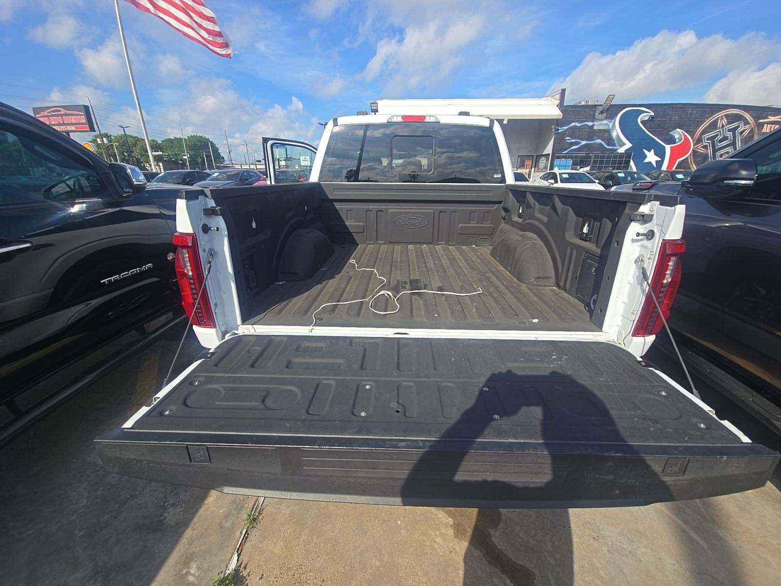 FORD F-150 - 10