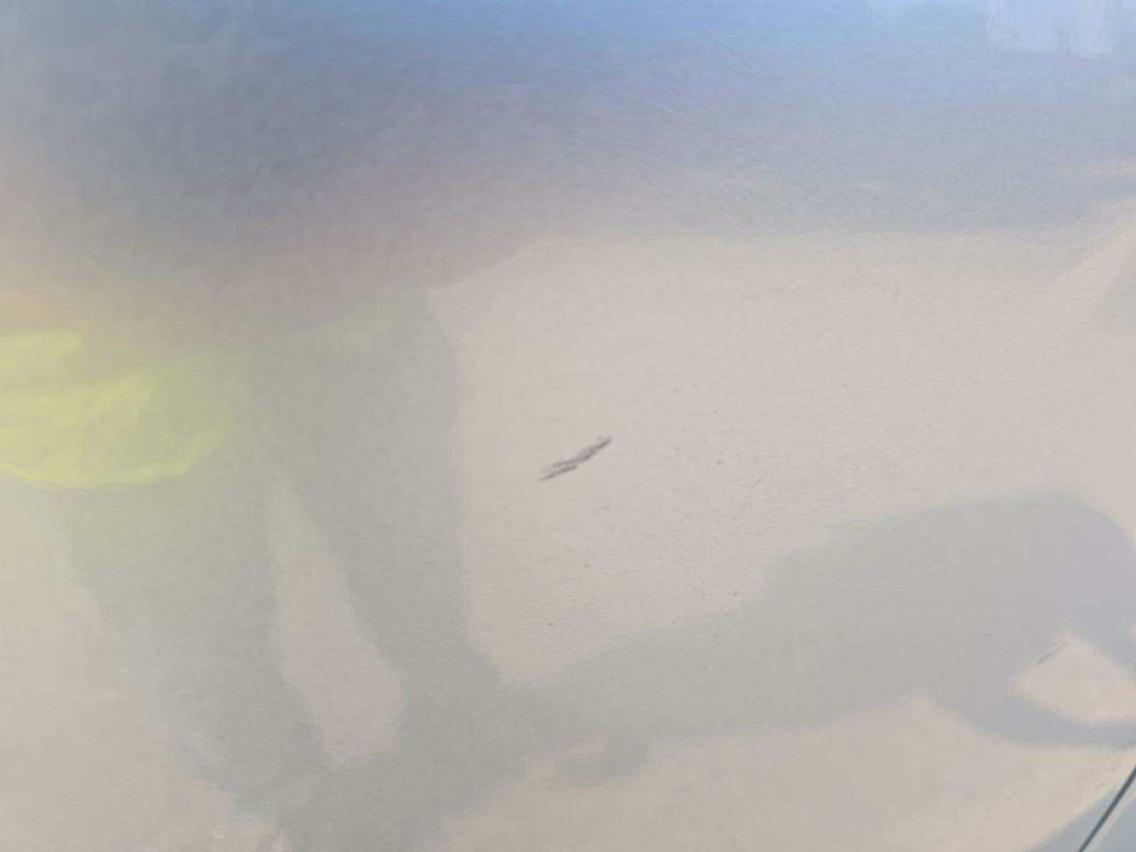 2022 Toyota Tundra Limited AWD