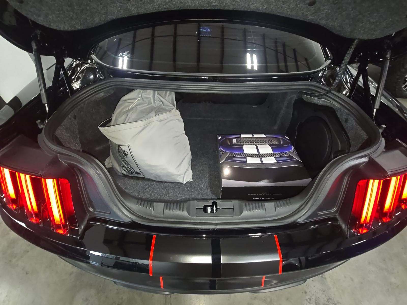 2019 Ford Mustang Shelby GT350R RWD