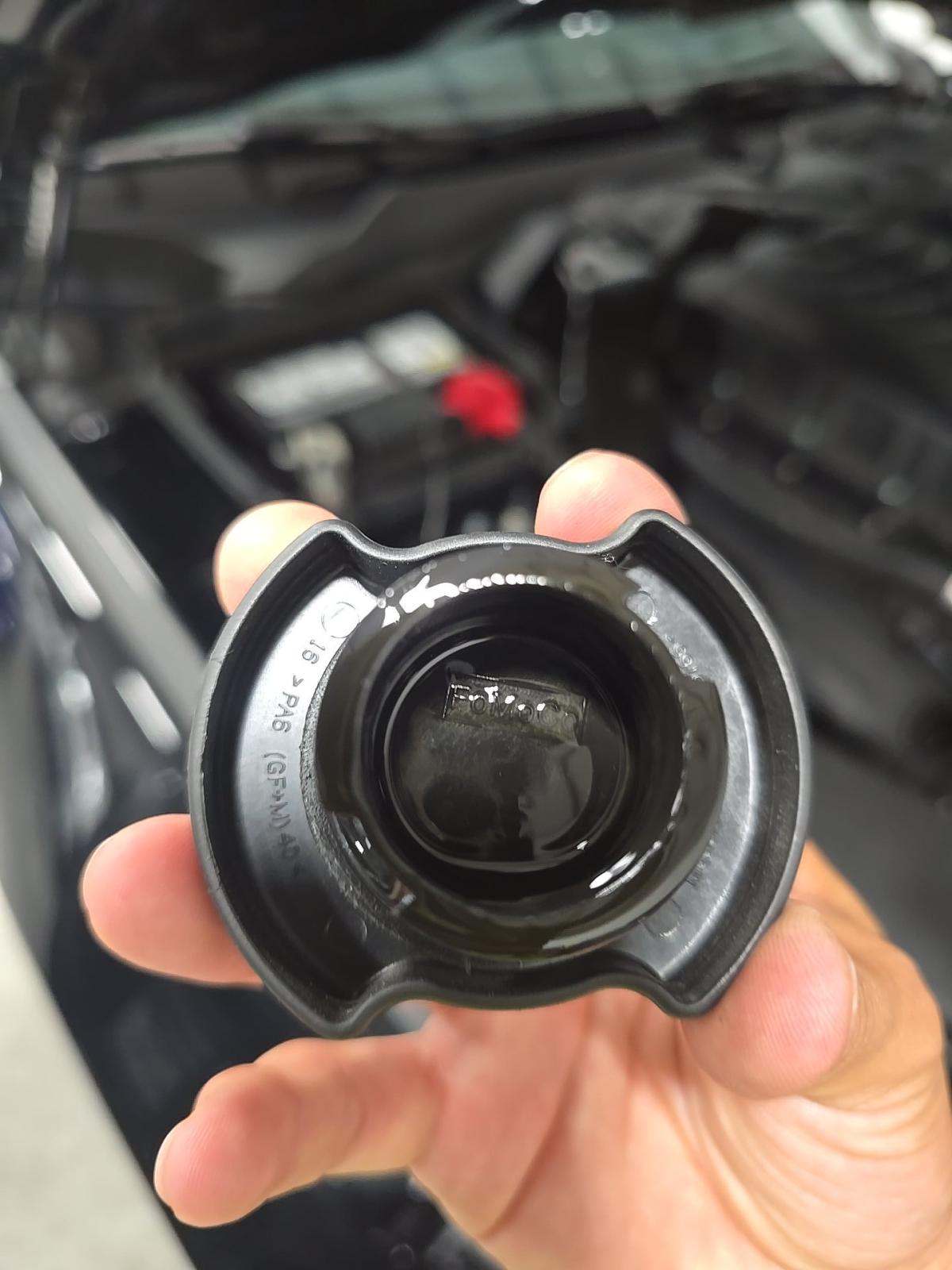 2019 Ford Mustang Shelby GT350R RWD