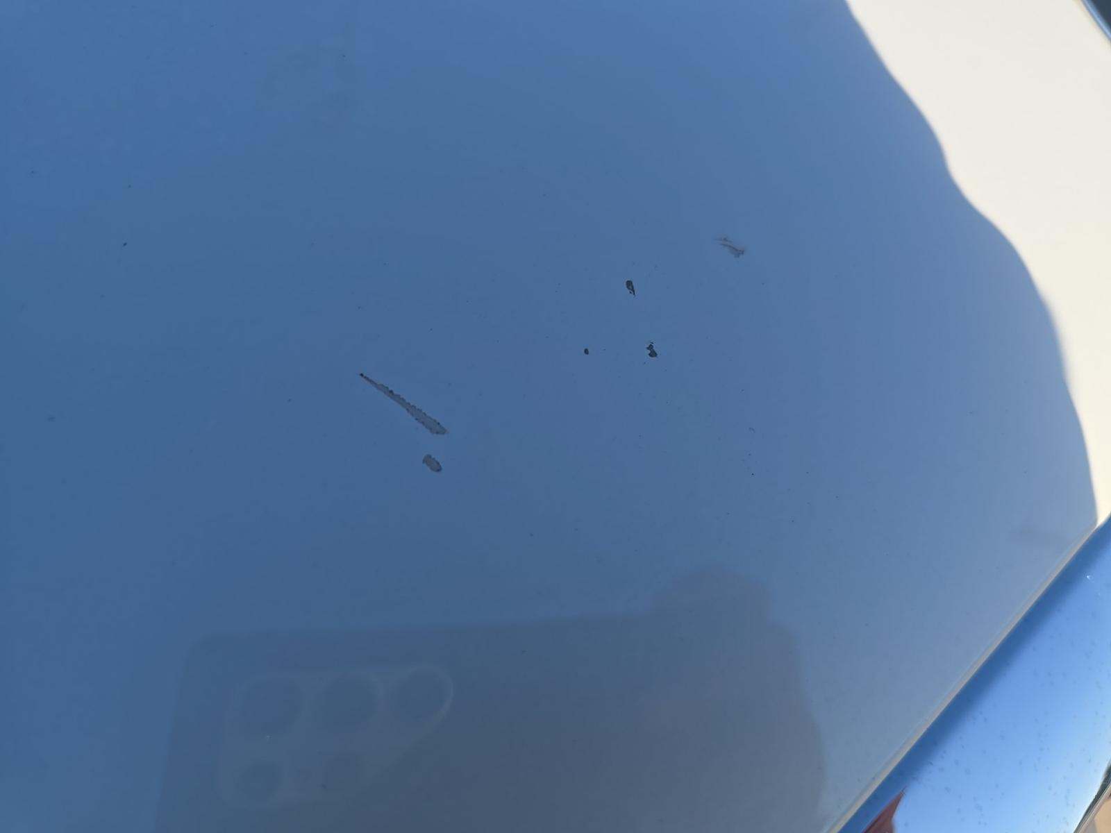 2021 BMW X3 sDrive30i RWD