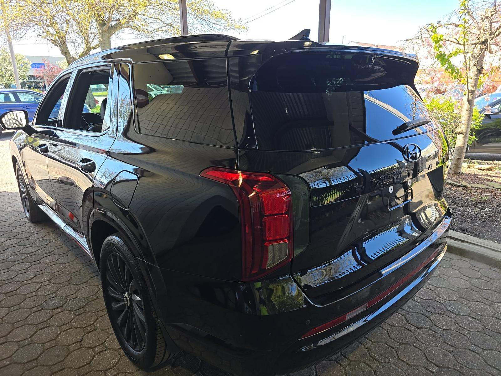 HYUNDAI CALLIGRAPHY NIGHT EDITION - 2