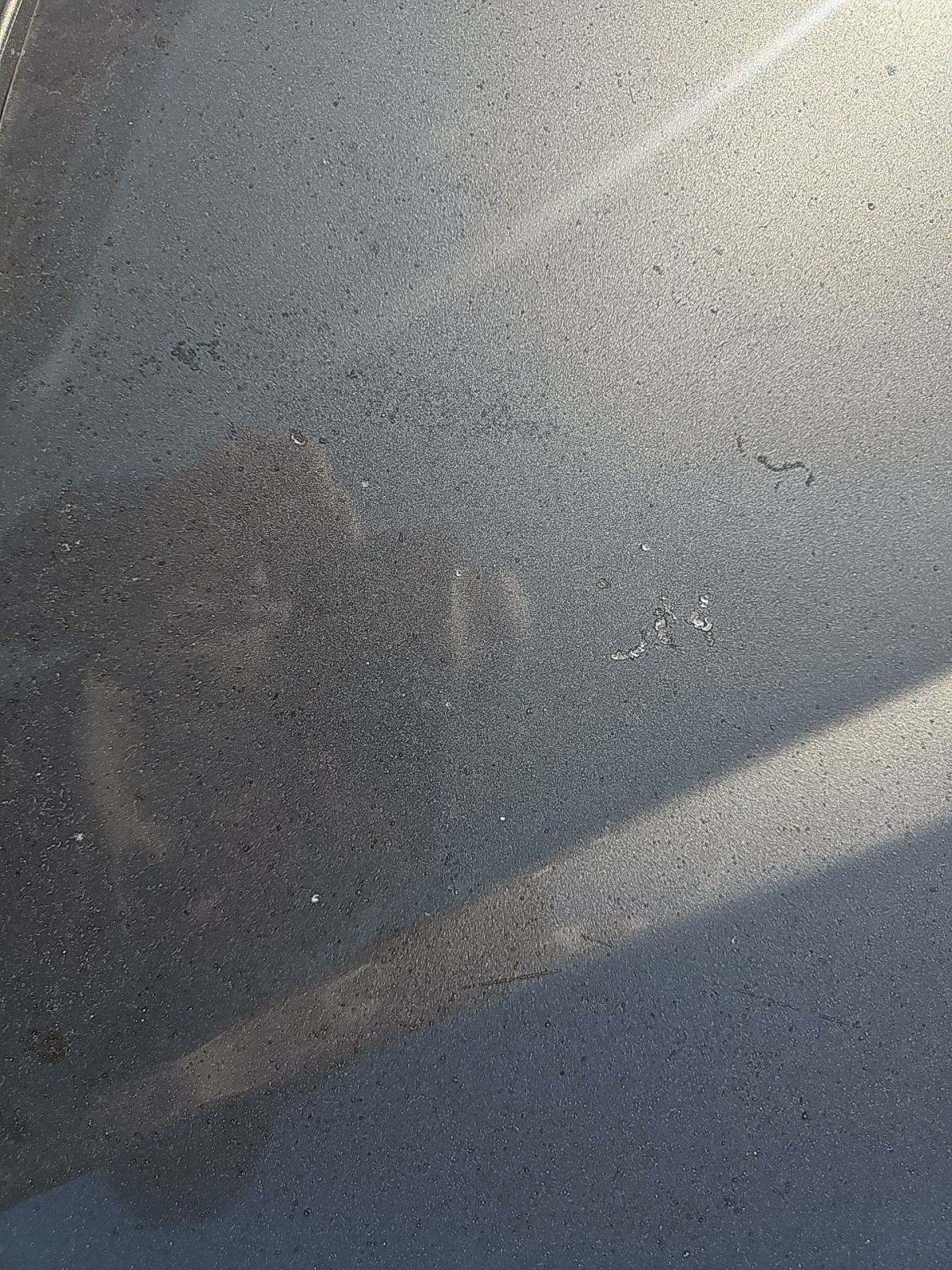 2014 BMW X1 xDrive35i AWD