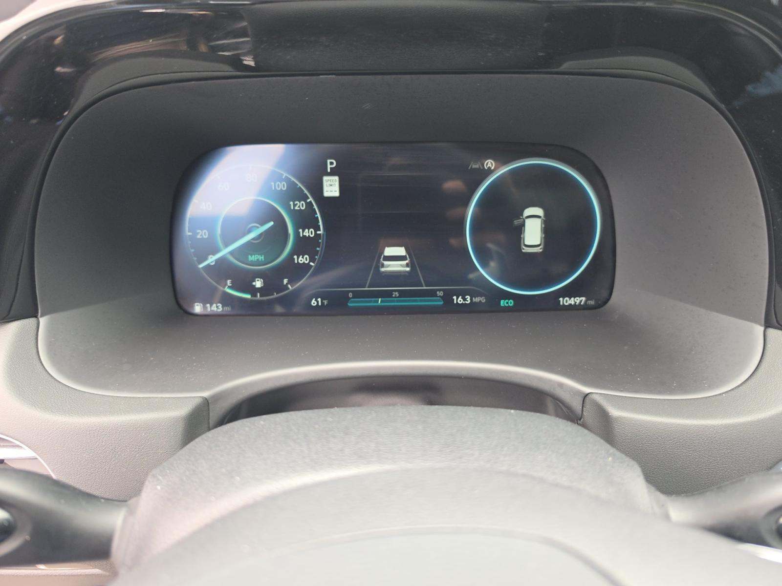 HYUNDAI PALISADE - 9