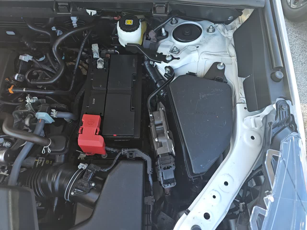 2024 Toyota RAV4 XLE FWD