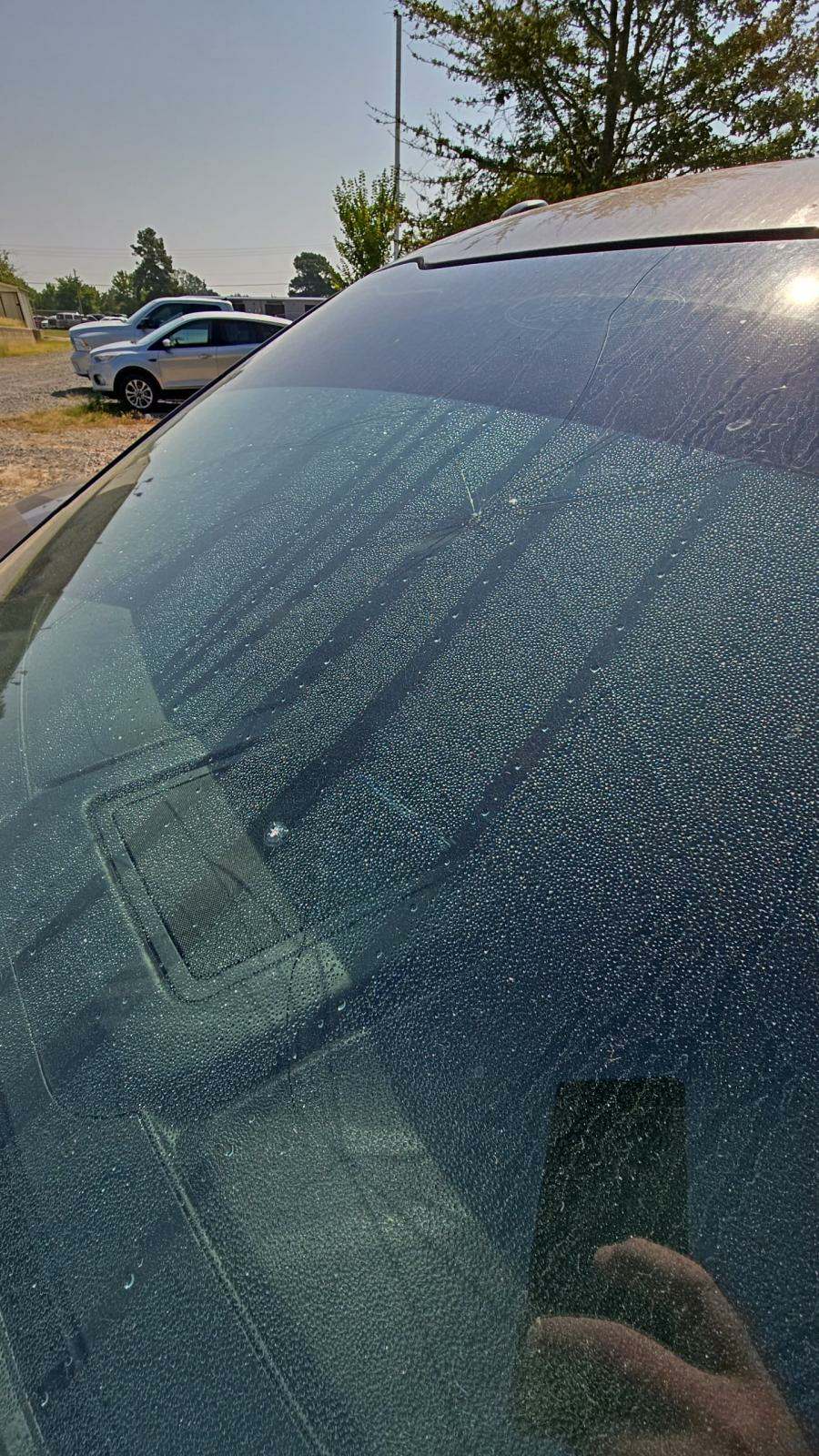 2015 Ford F-150 XLT RWD