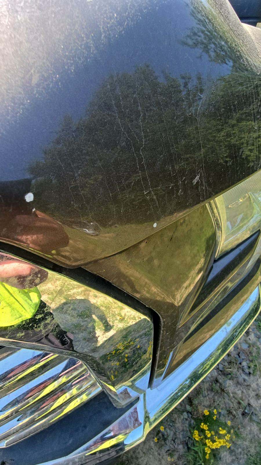 2015 Ford F-150 XLT RWD