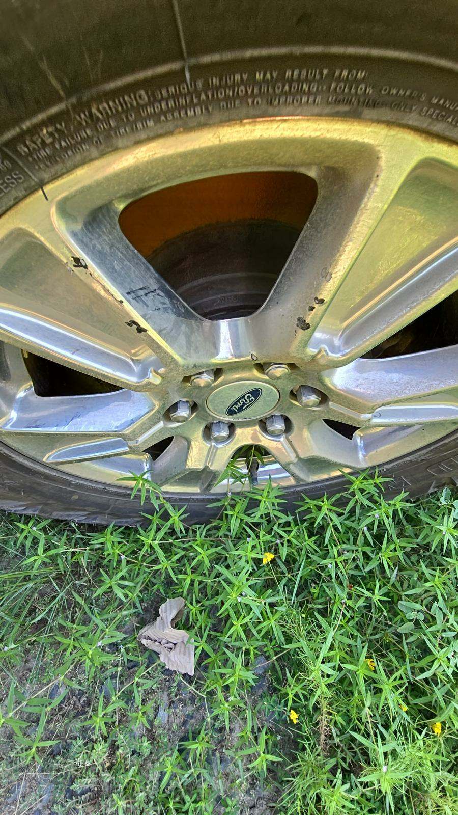 2015 Ford F-150 XLT RWD