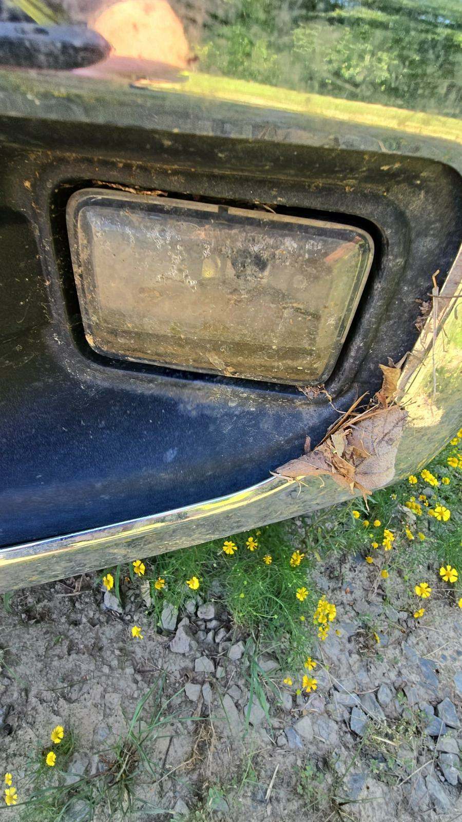 2015 Ford F-150 XLT RWD