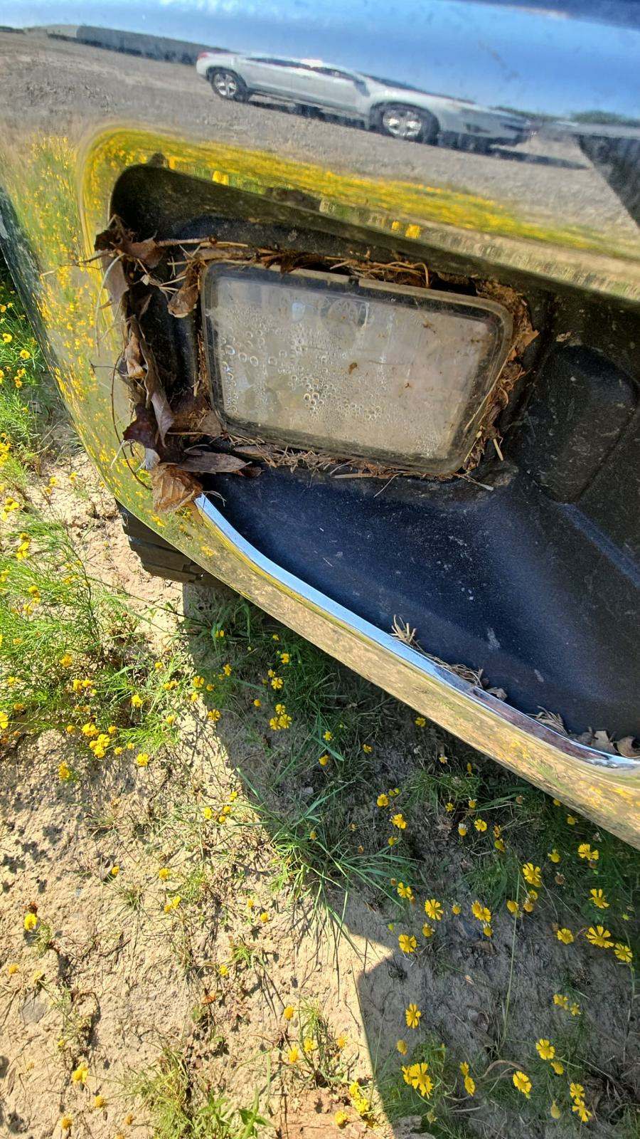 2015 Ford F-150 XLT RWD