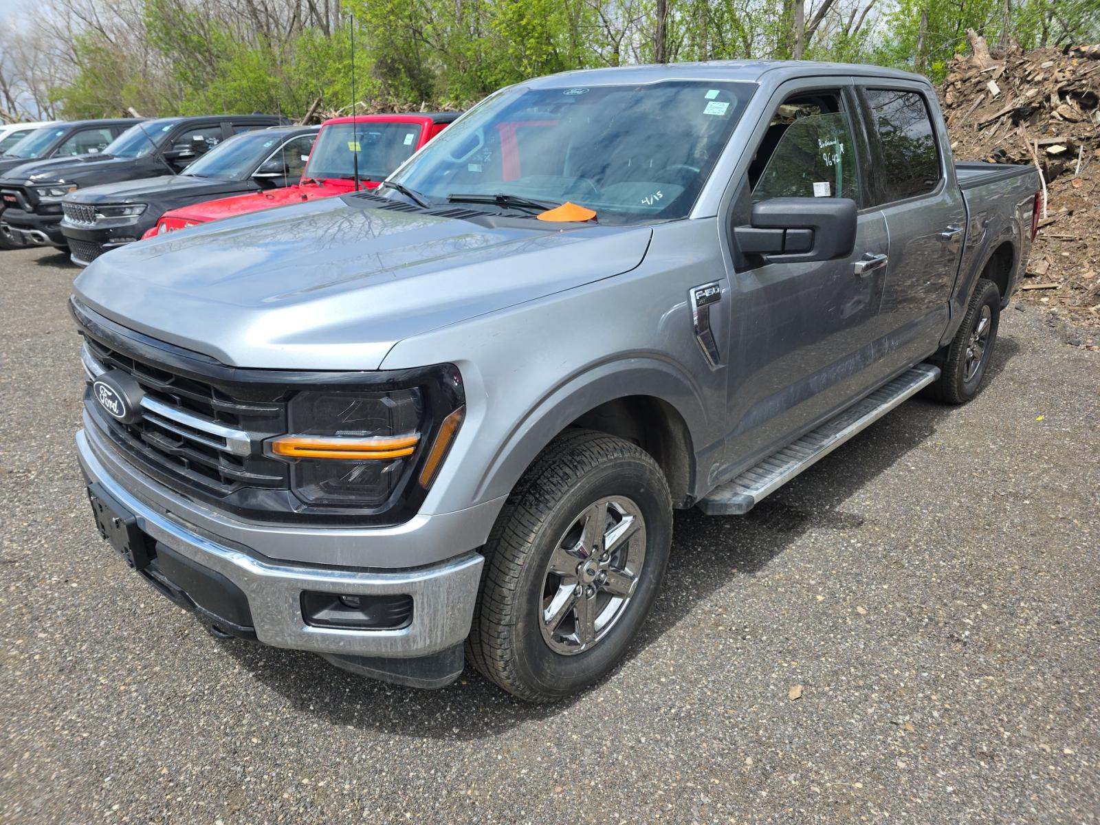 FORD F-150 - 1