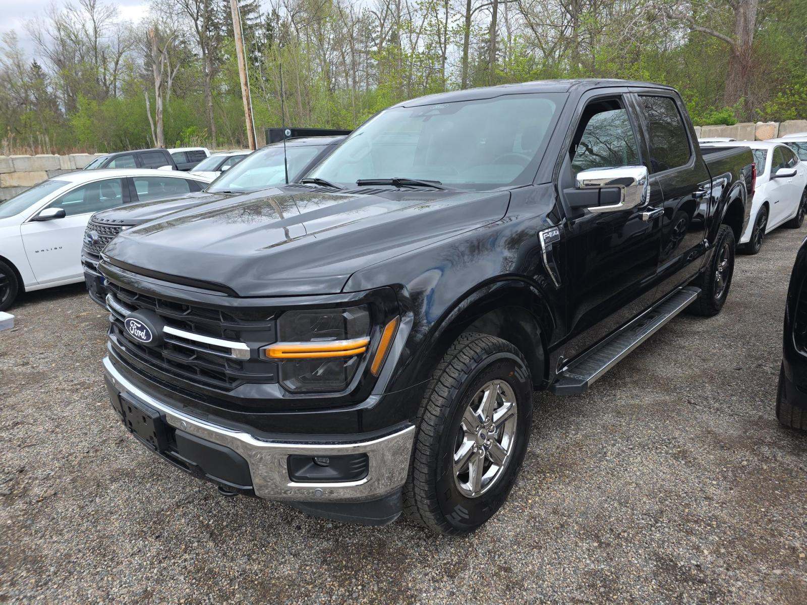 2025 Ford F-150 XLT AWD