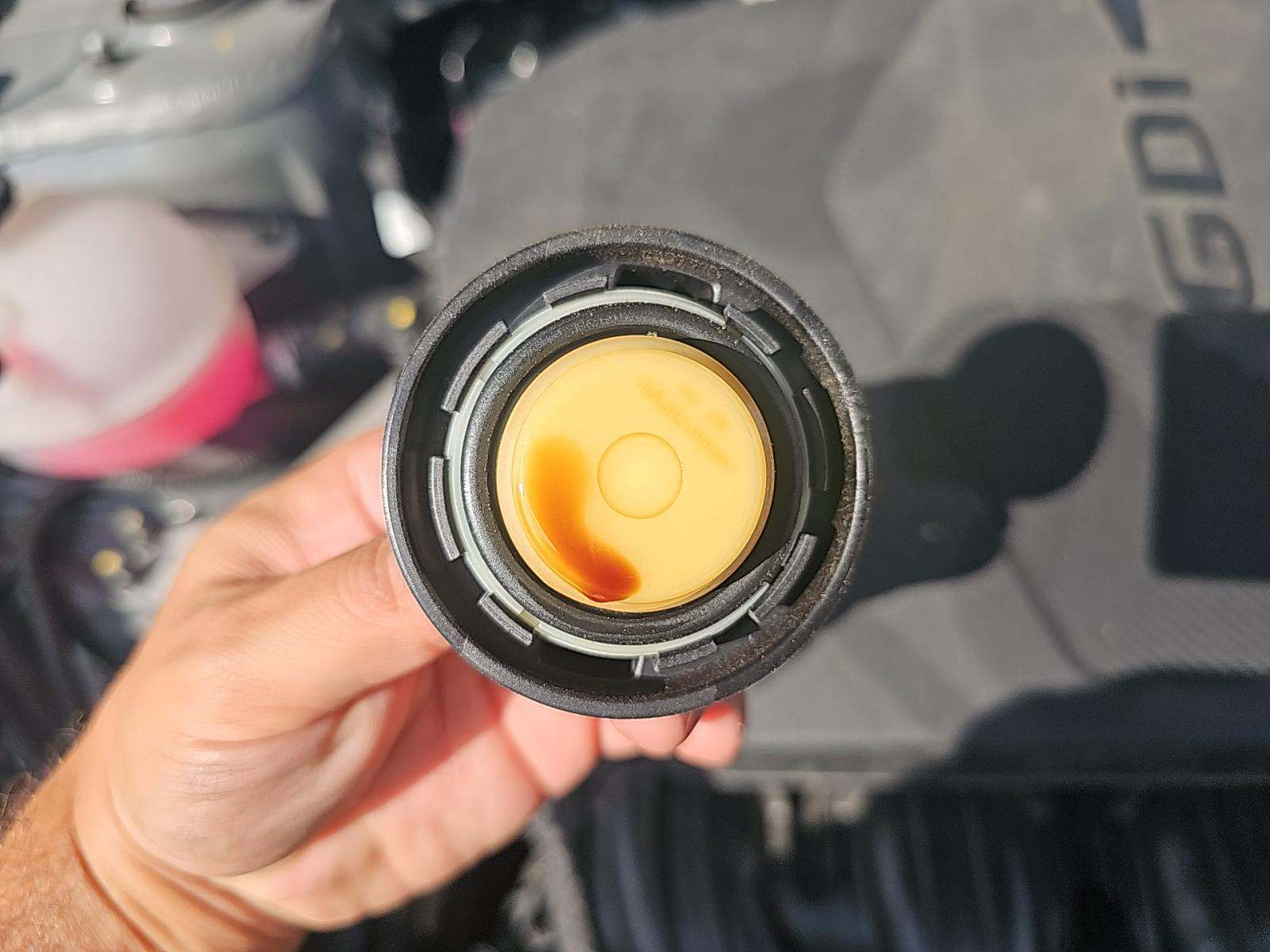 2024 Hyundai Tucson SEL FWD