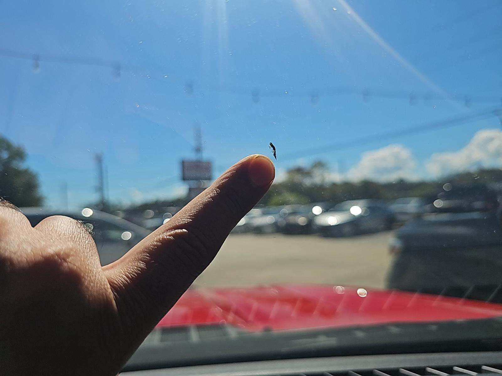 2023 Ford F-150 XLT RWD