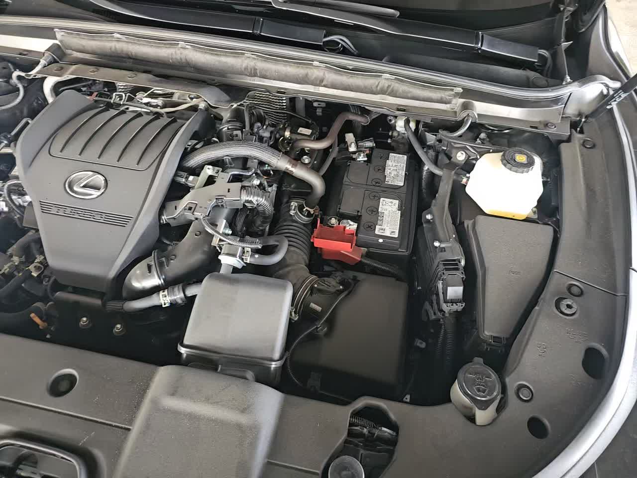 2025 Lexus RX RX 350 FWD