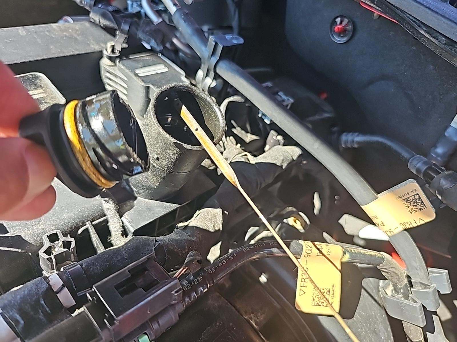 2023 Ford Mustang EcoBoost Premium RWD