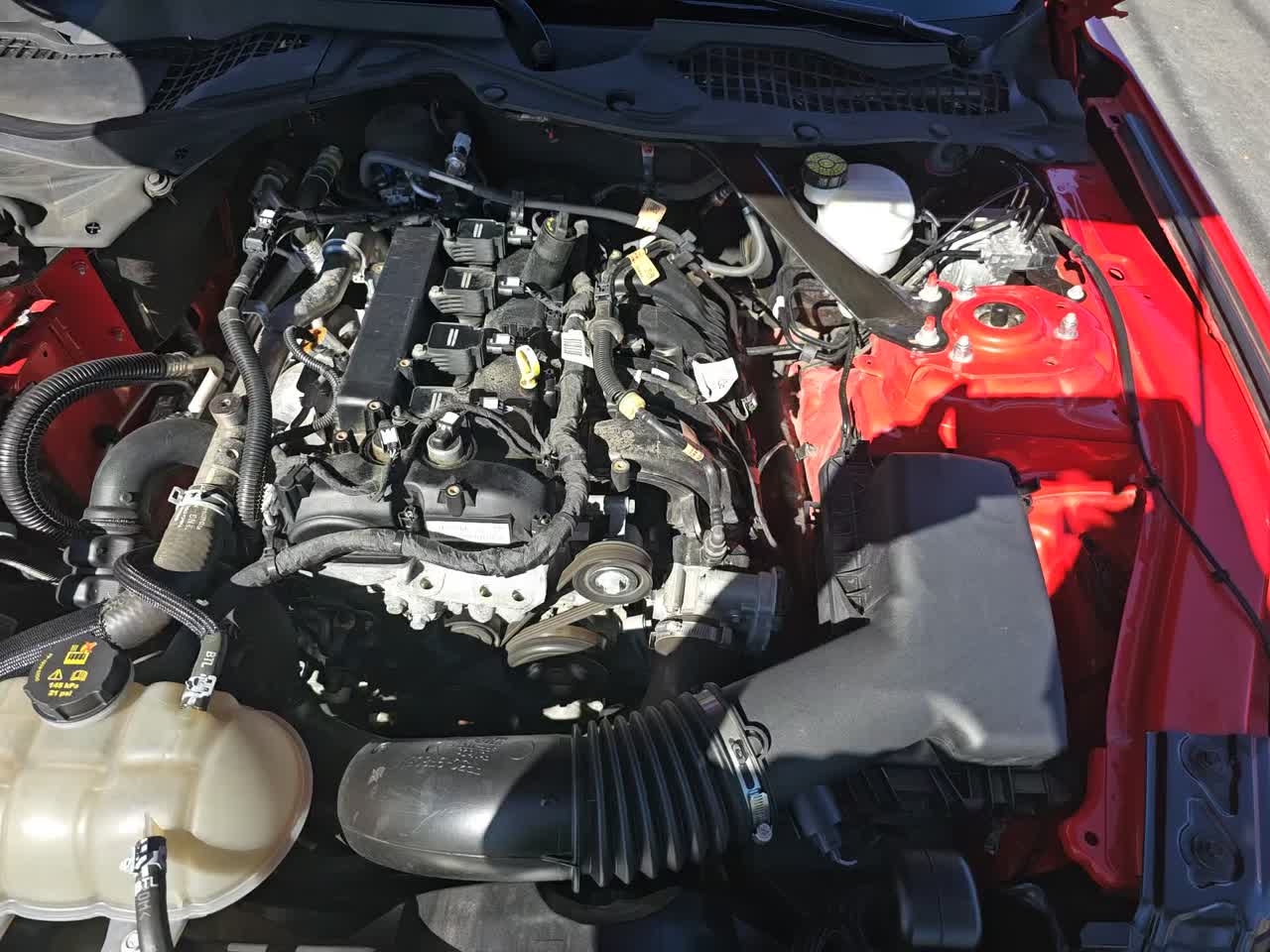 2023 Ford Mustang EcoBoost Premium RWD