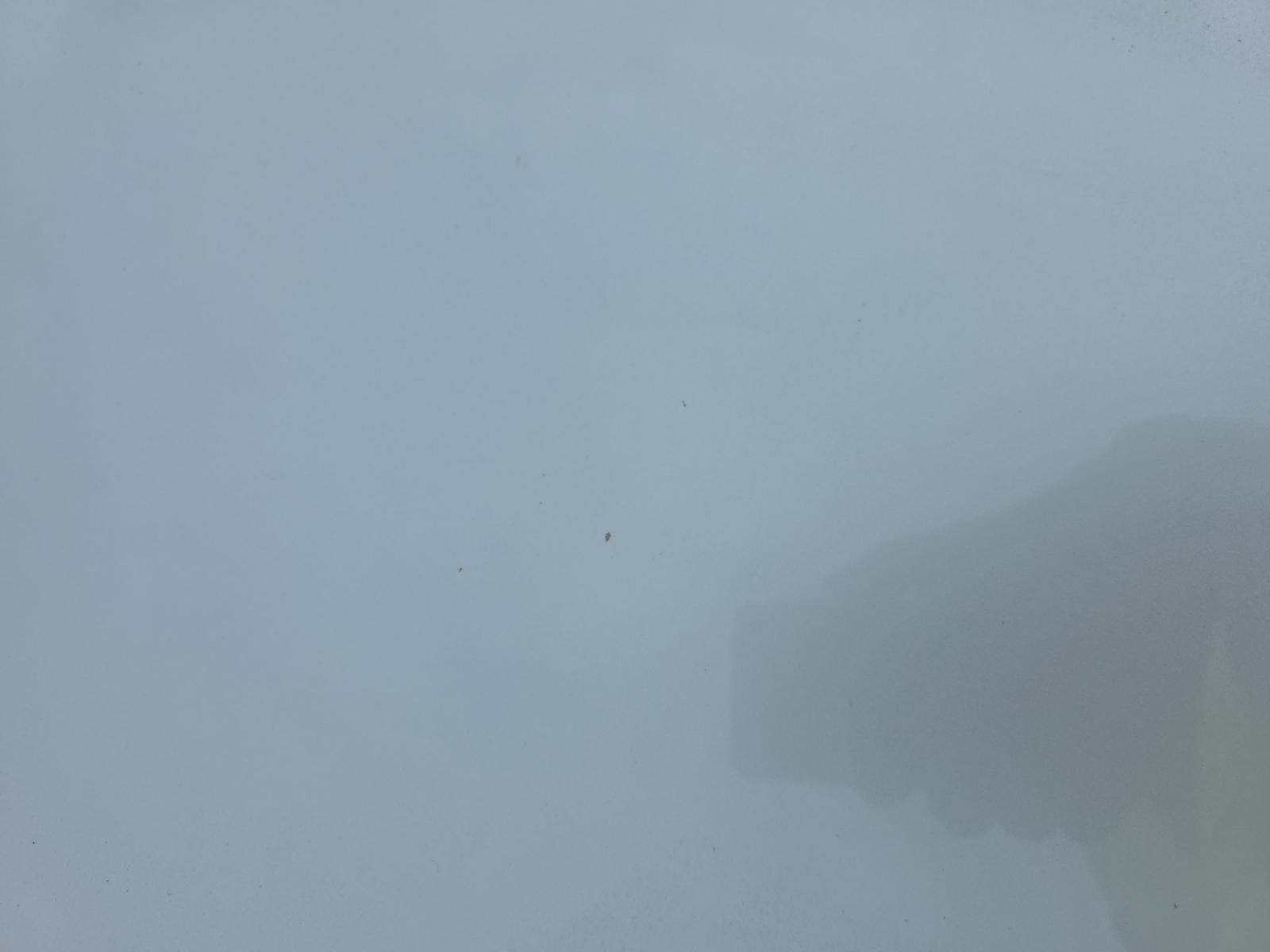 2025 Toyota Prius LE FWD