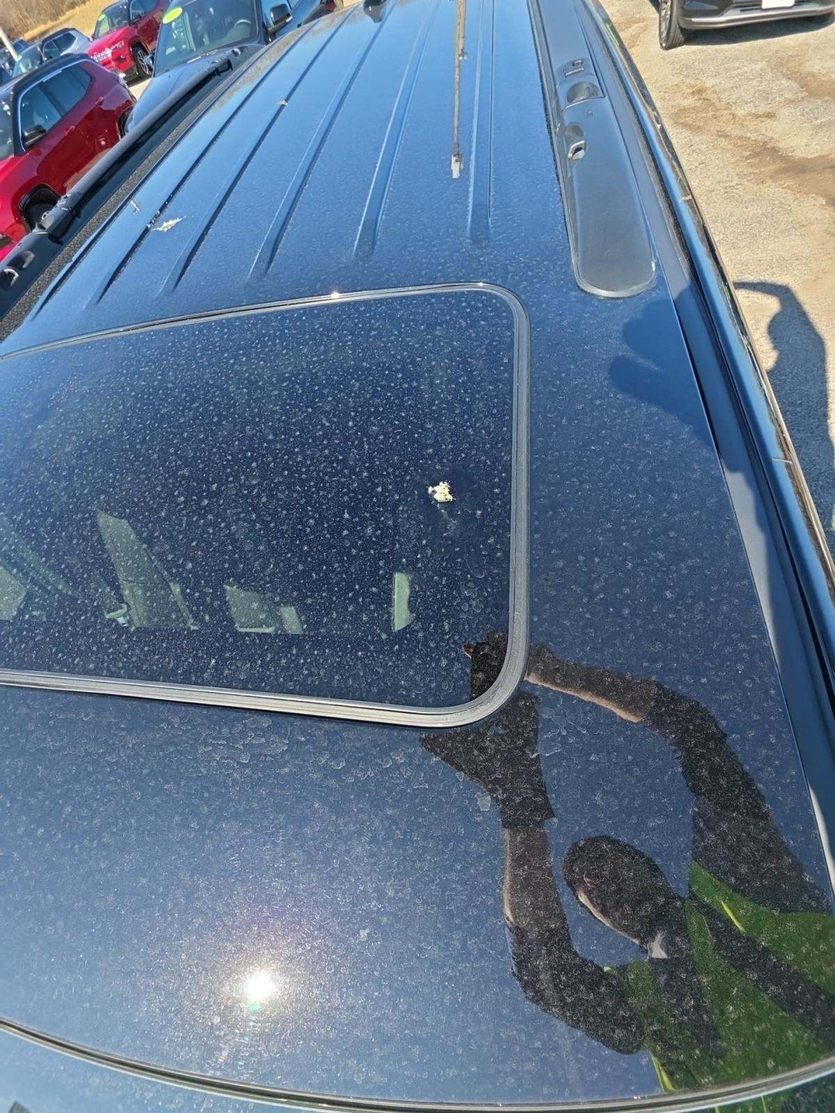 DODGE CHALLENGER - 8