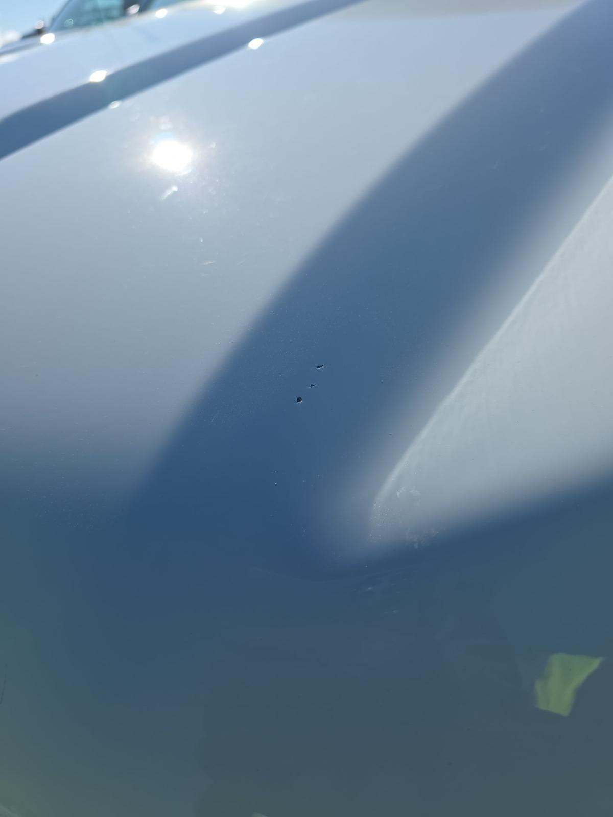 2024 Chevrolet Silverado 1500 Work Truck AWD