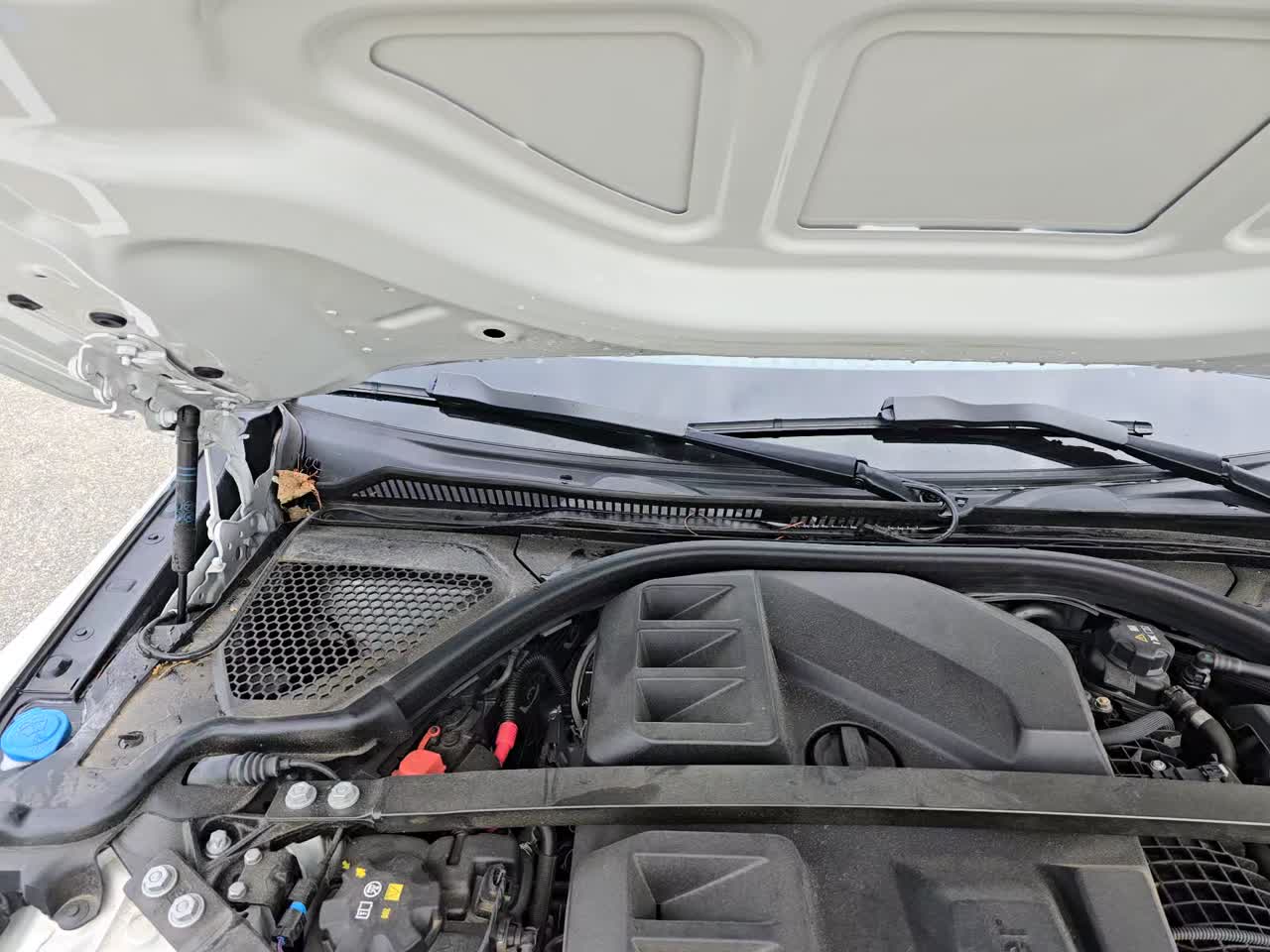 2024 BMW M4 Competition xDrive AWD