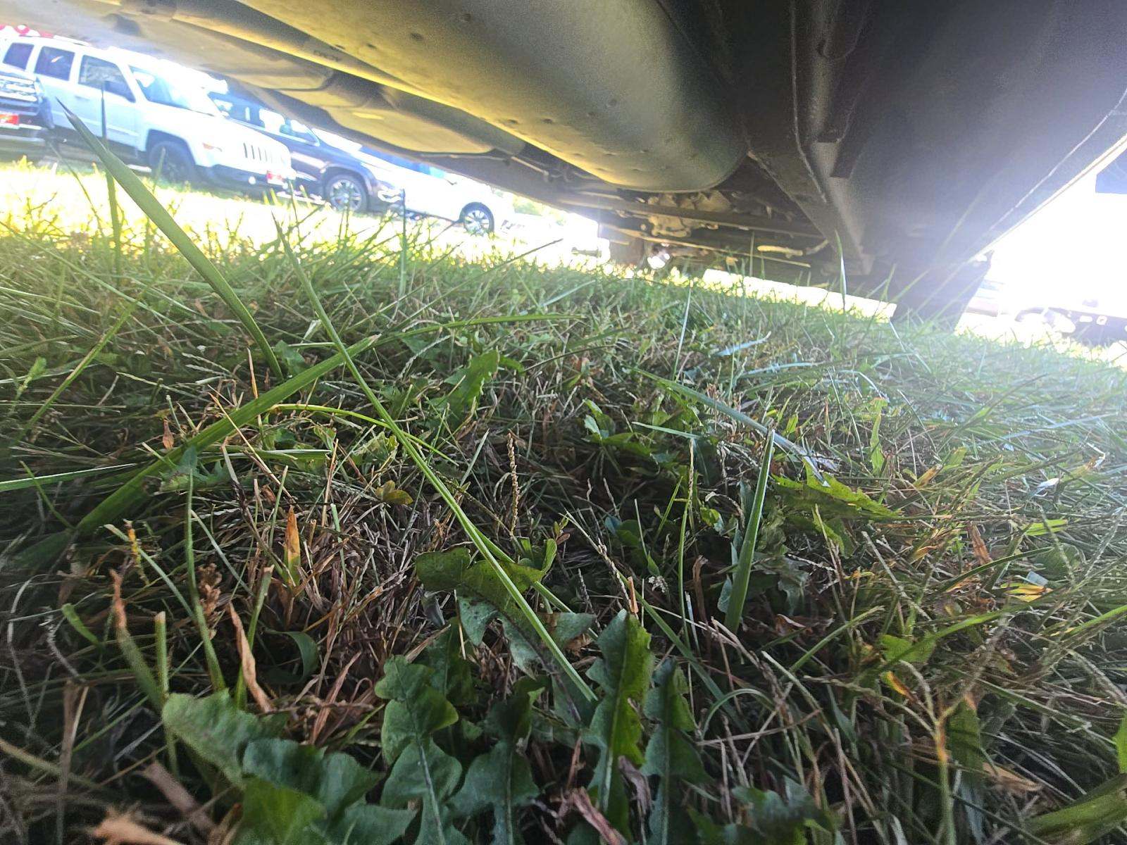 2025 Chevrolet Silverado 1500 LT AWD