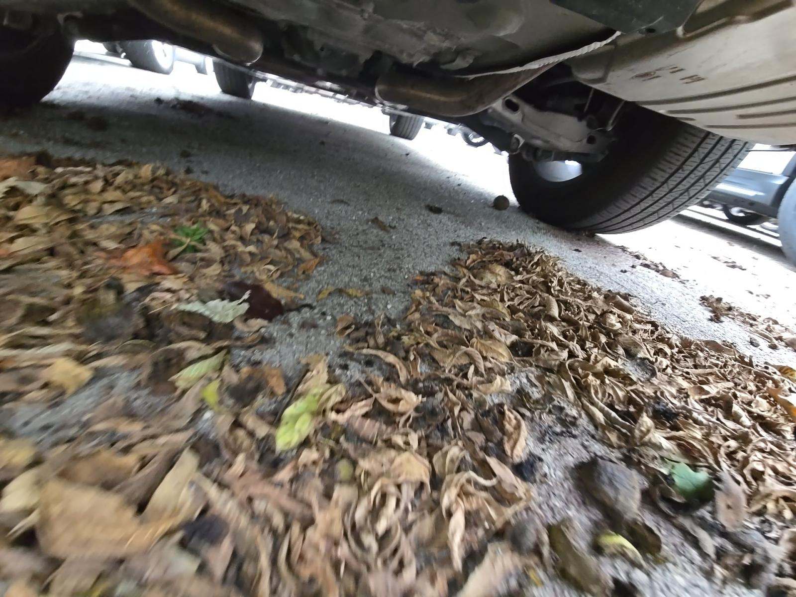 2022 Jaguar F-PACE P250 S AWD