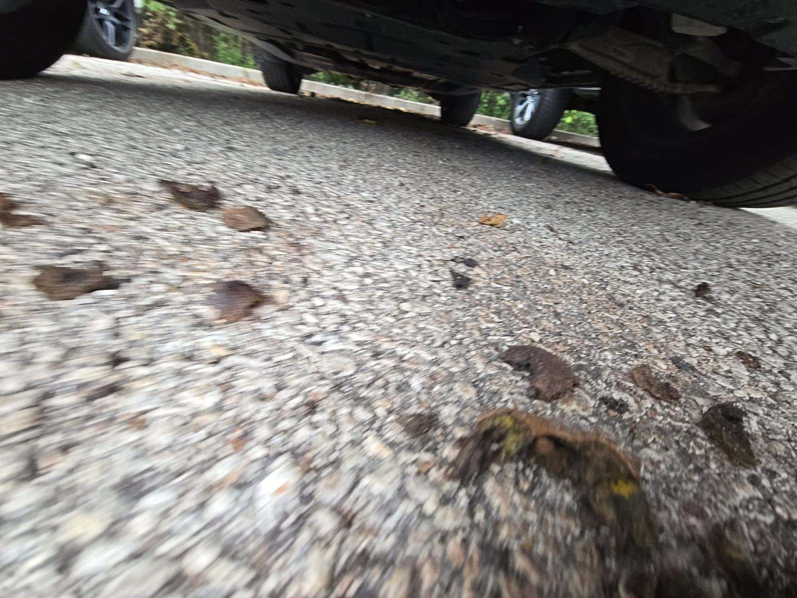 2022 Jaguar F-PACE P250 S AWD