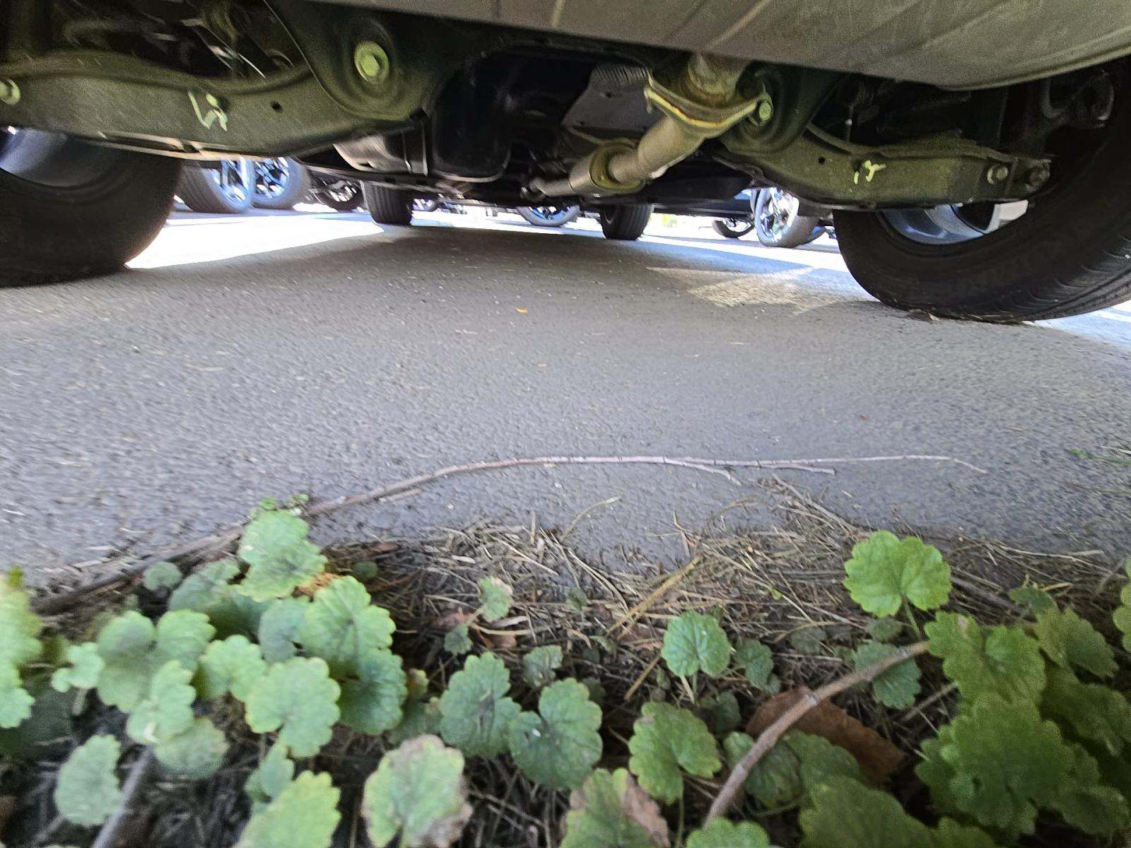 2023 Kia Sportage EX FWD