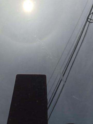 2014 Mercedes-Benz SLK SLK 55 AMG RWD