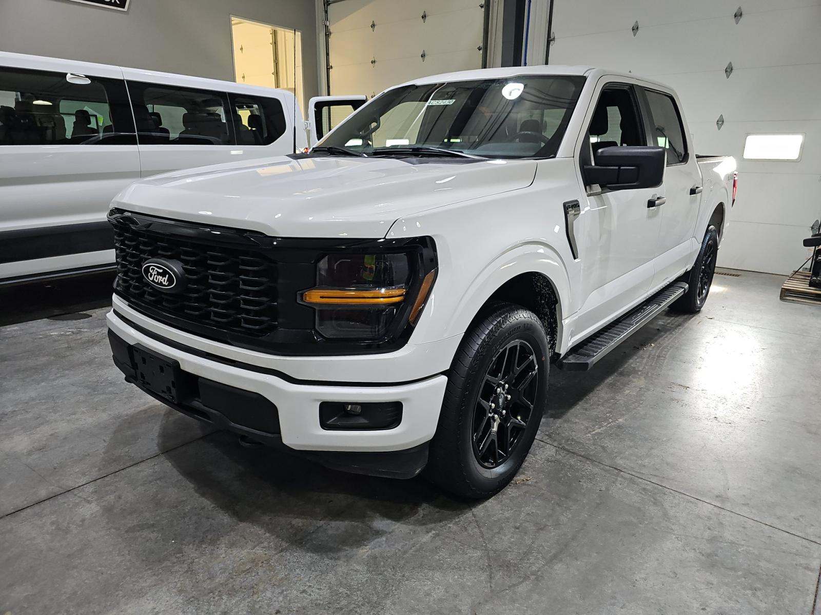 FORD F-150 - 1