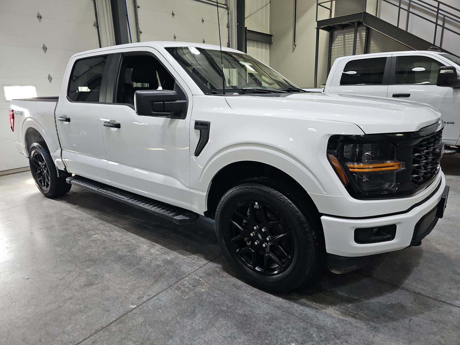 FORD F-150 - 4