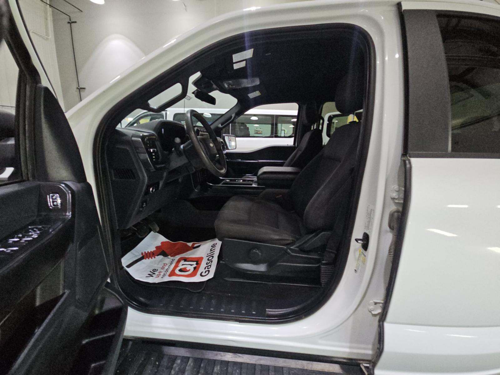 FORD F-150 - 6
