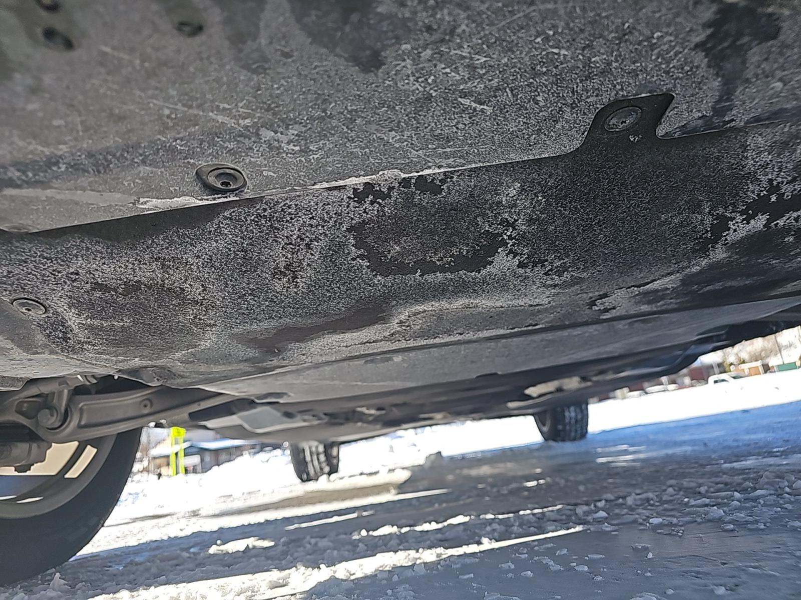 2023 Audi Q5 Premium Plus AWD